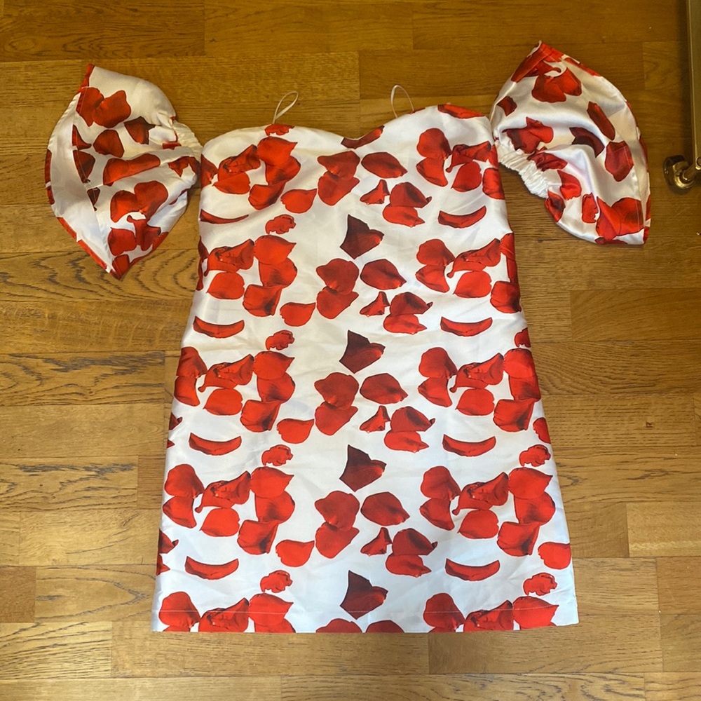 NWT re:named rose petal dress